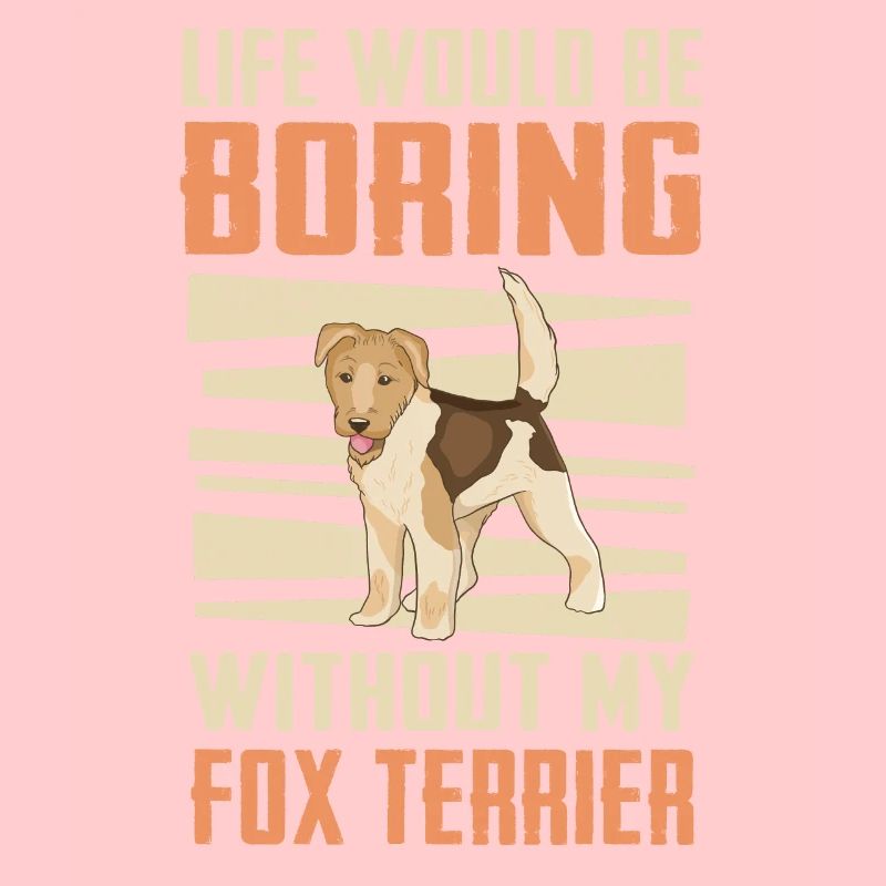 Foxterrier Hund