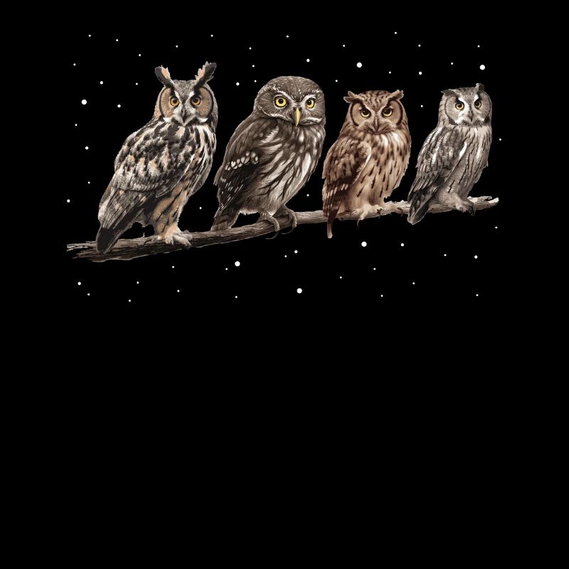 Nachteule Eule Eulen Vogel