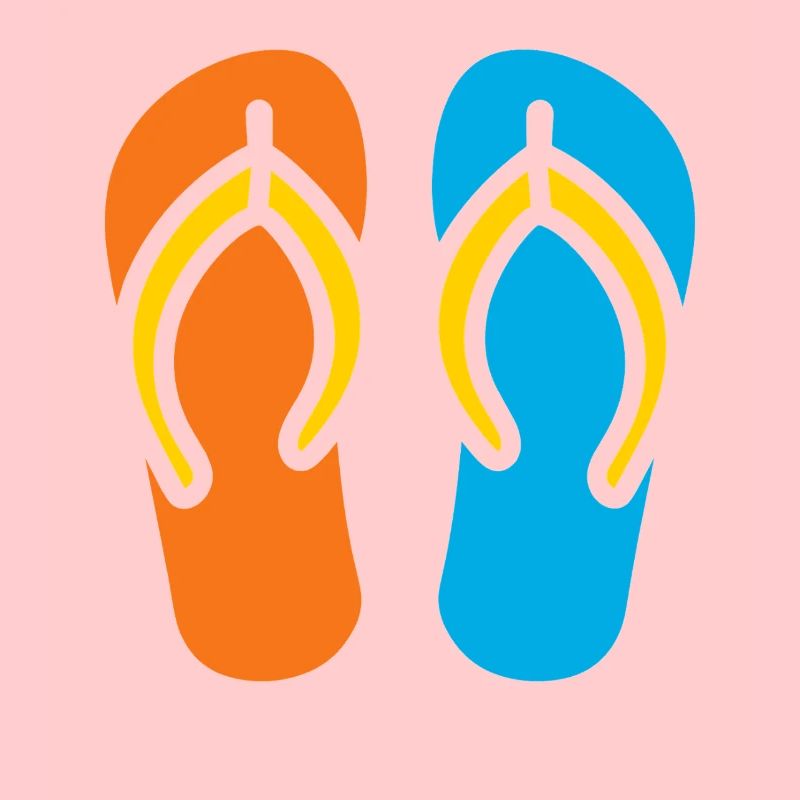 Flip-Flops