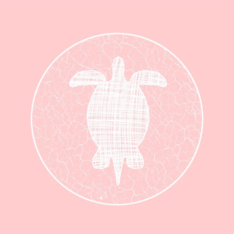 Turtle Schildkröte