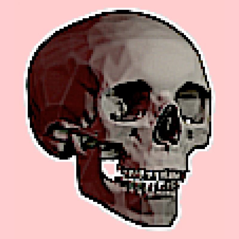 PIXEL SKULL