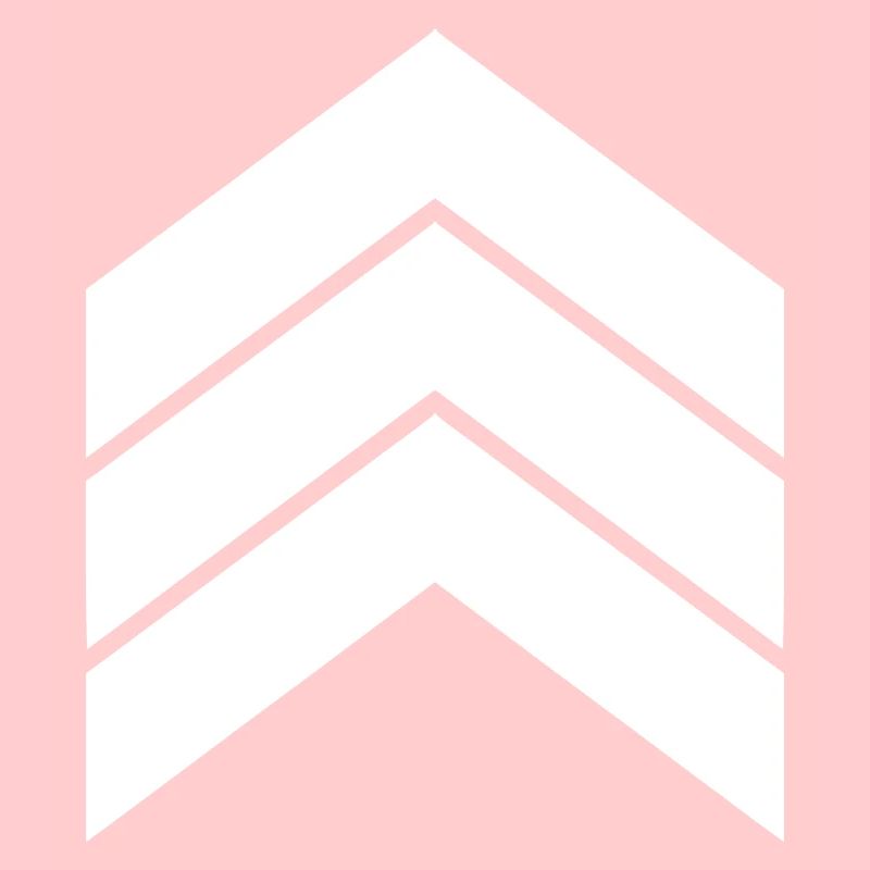 trois flèches blanches