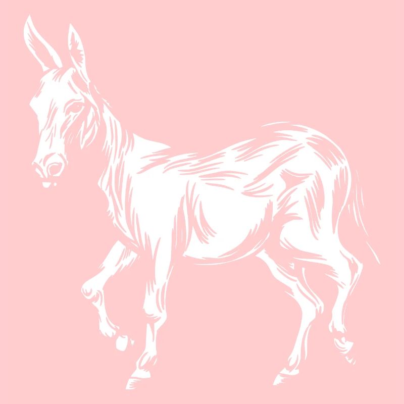 Mule d’âne