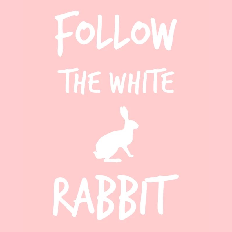 Suivez le lapin blanc