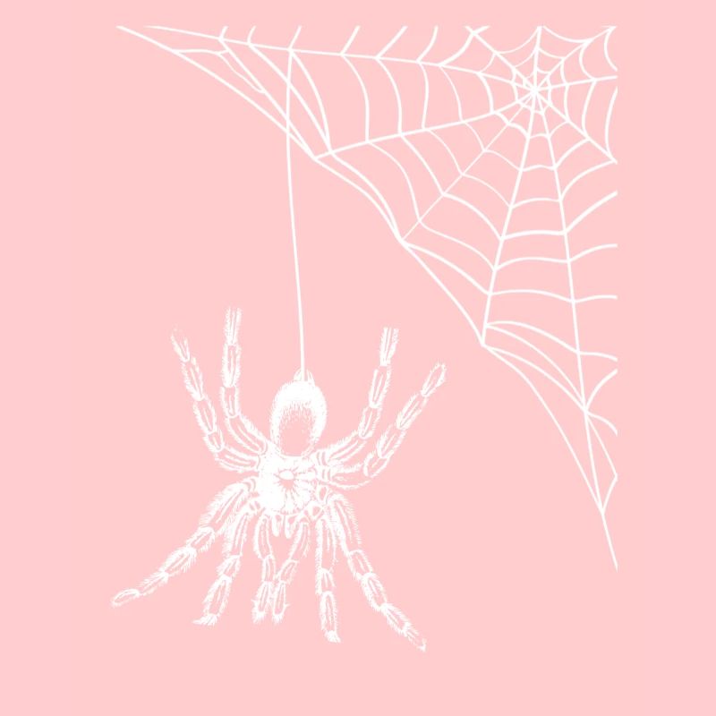 spider