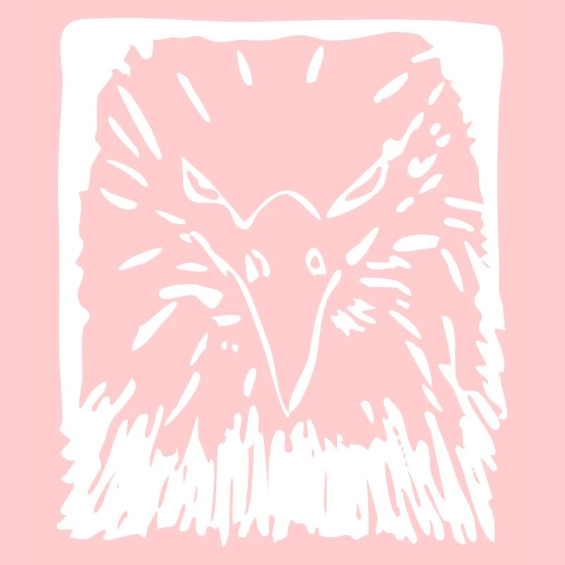 Adler, Vogel, Geschenk, Geschenkidee