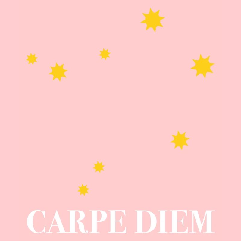Carpe Diem nutze den Tag Sternbild Waage Libra Ode