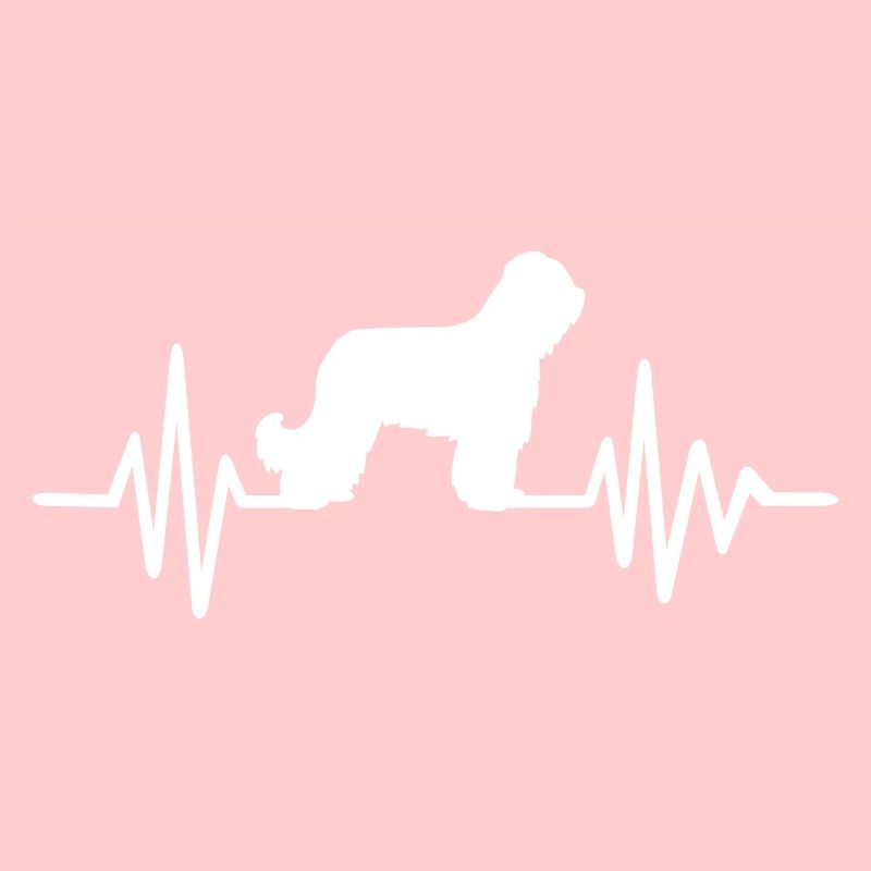 Briard