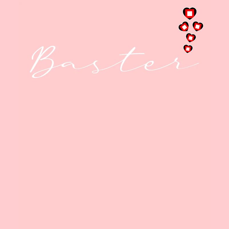 Baster