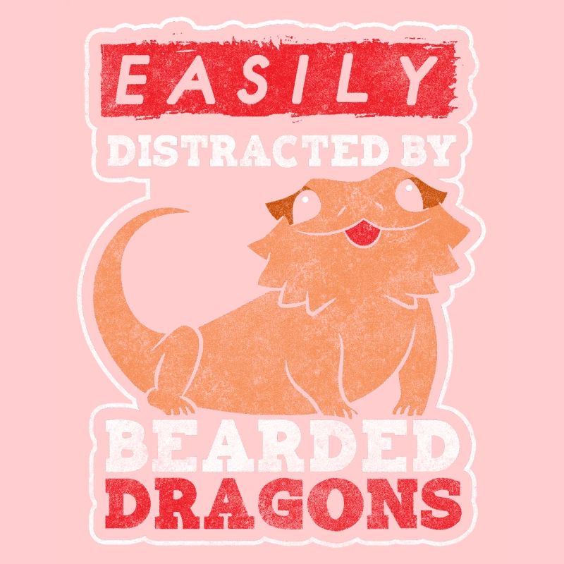 Lizard Lizard Lizard Lizard