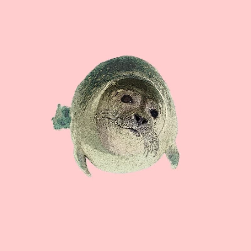 Seal