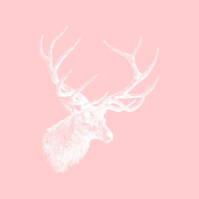 Hirsch - Hirschgeweih