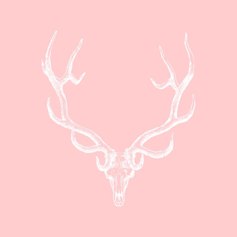 Hirsch - Hirschgeweih