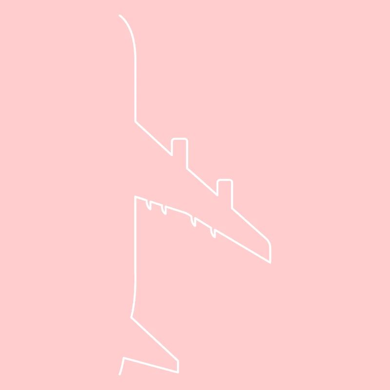 Pilot plane fly gift glider flight