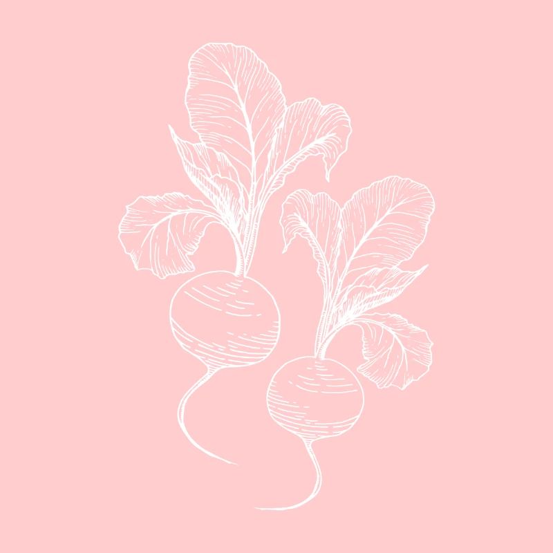 Rettich Gemüse Veganer Gärtner Geschenk