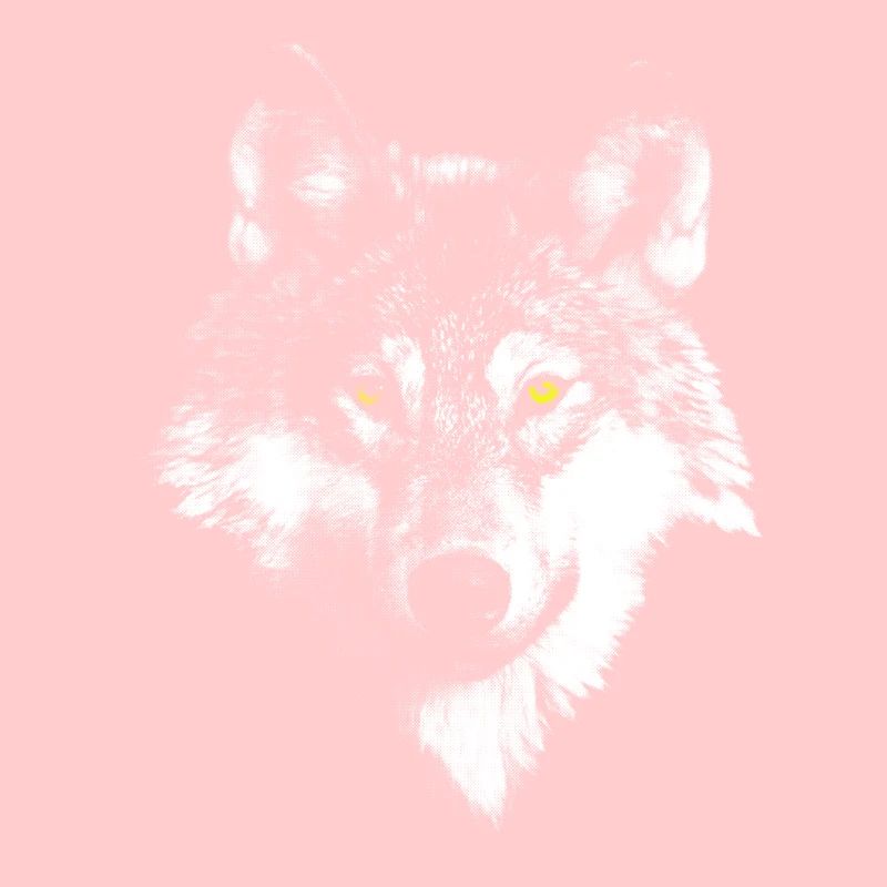 white wolf