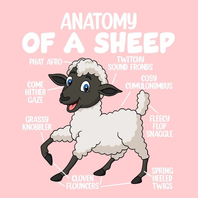 Anatomie eines Schafes