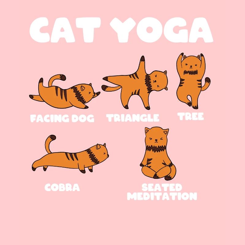 Yoga du chat