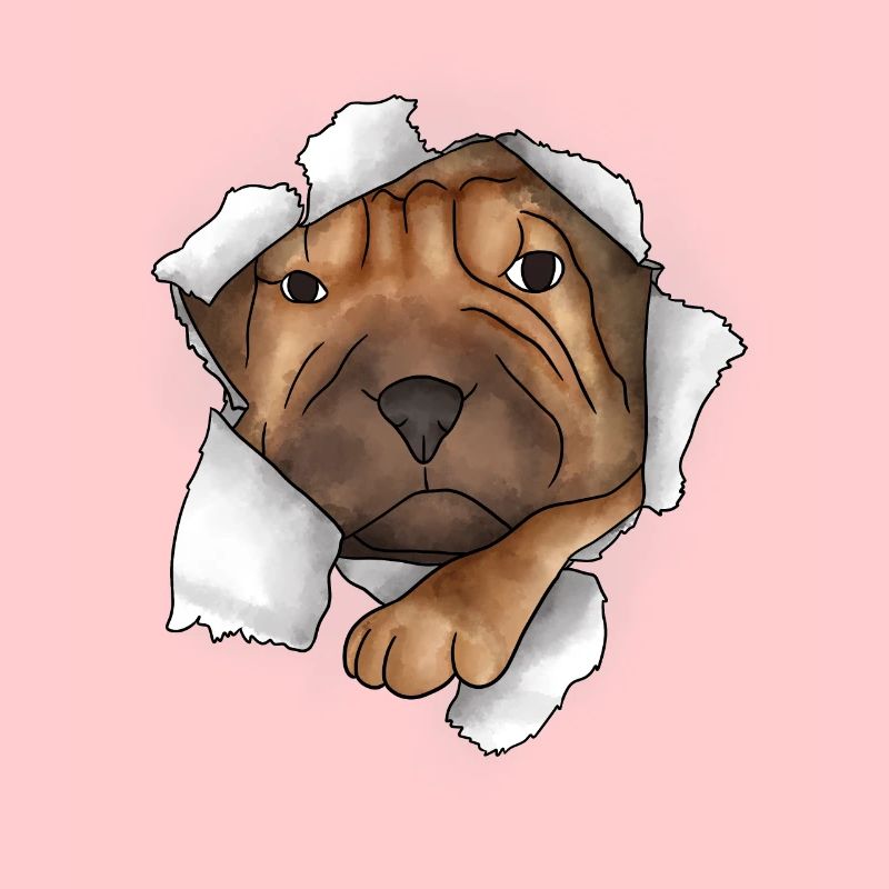 Shar Pei chinois