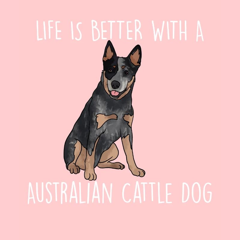 Bouvier australien