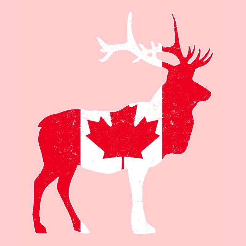 Orignal canadien