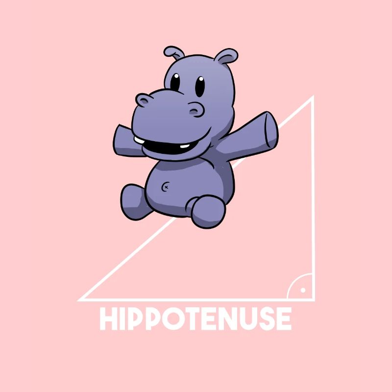 Hippotenuse Mathematik Lehrer Pythagoras Nilpferd