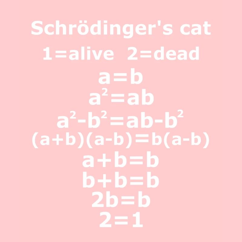 Schrödinger’s chat physique Geek prof sort