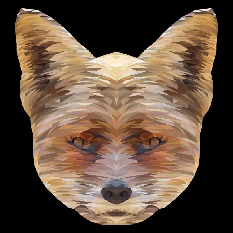 Fox Polygon