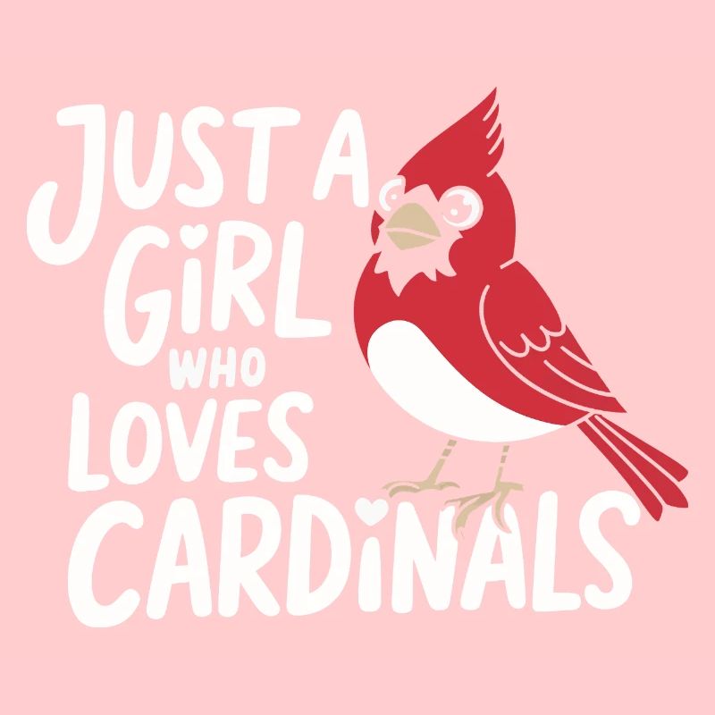 Kardinal Rotkardinal Vogel Roter Kardinal