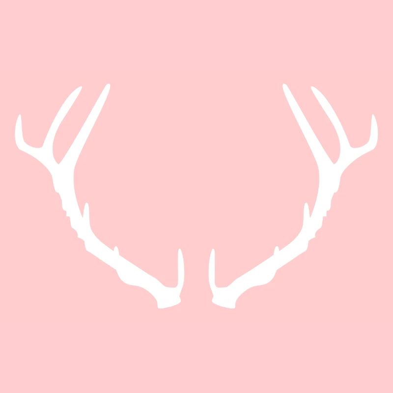 Antlers stag weis