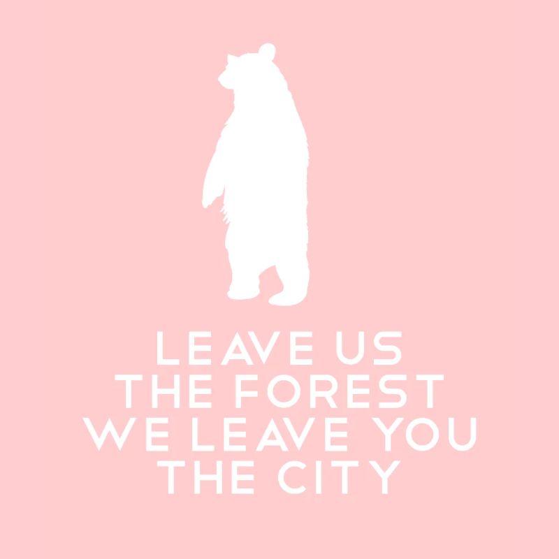 Brown Bear Polar Bear Standing Bear