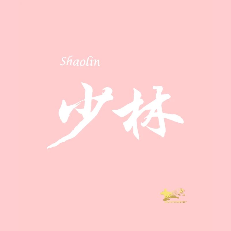 Shaolin Characters Masteryourownway