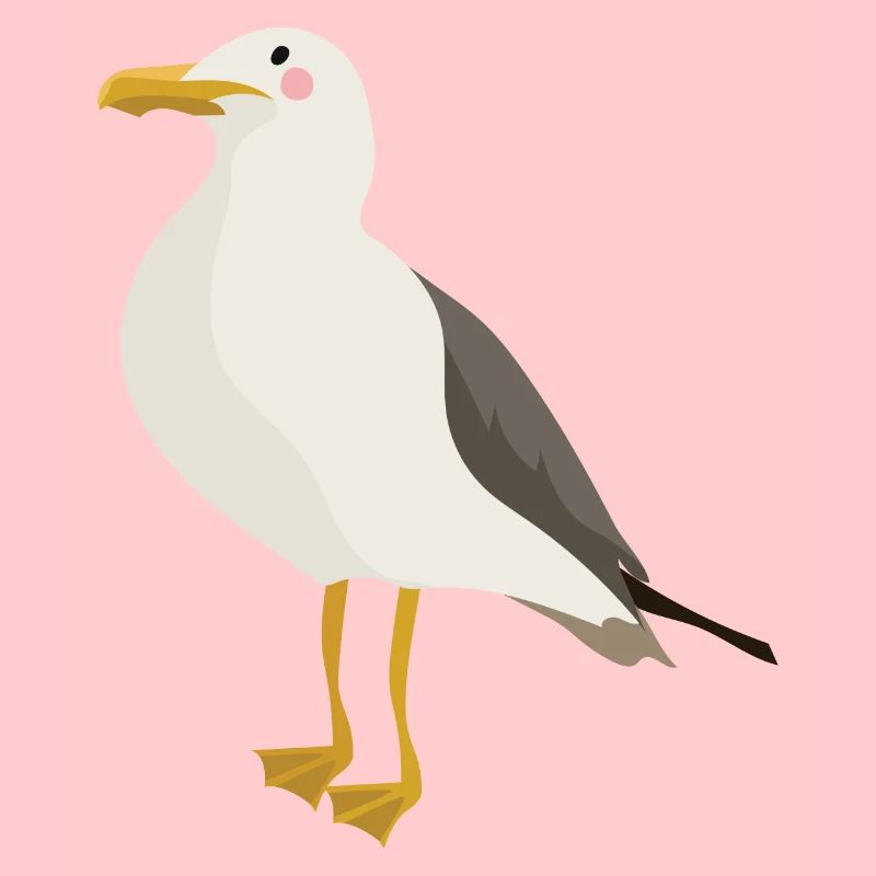 Seagull
