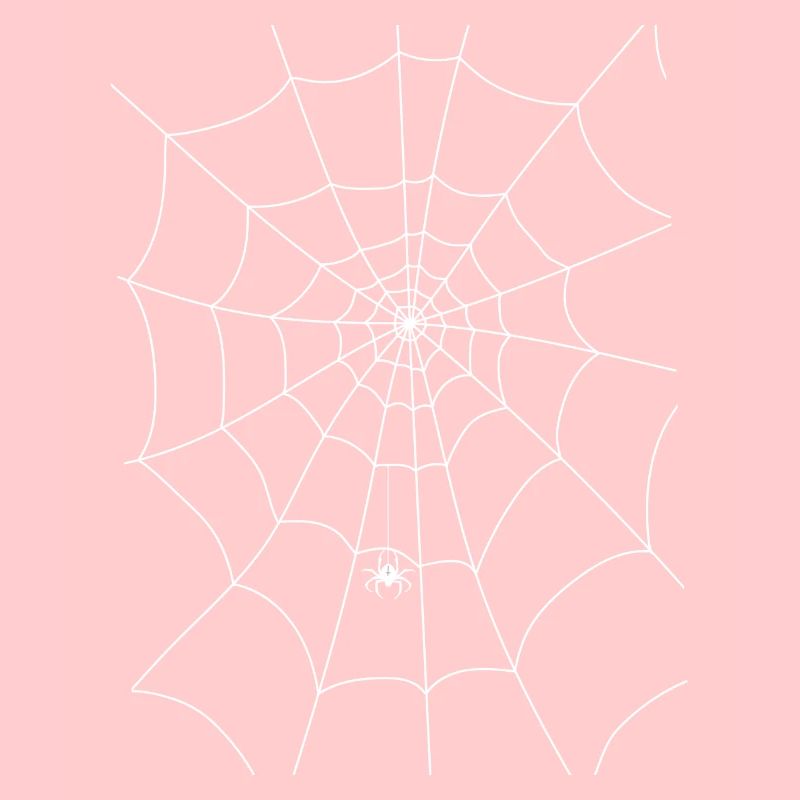 Spinnennetz, Spinne, Spinne im Netz