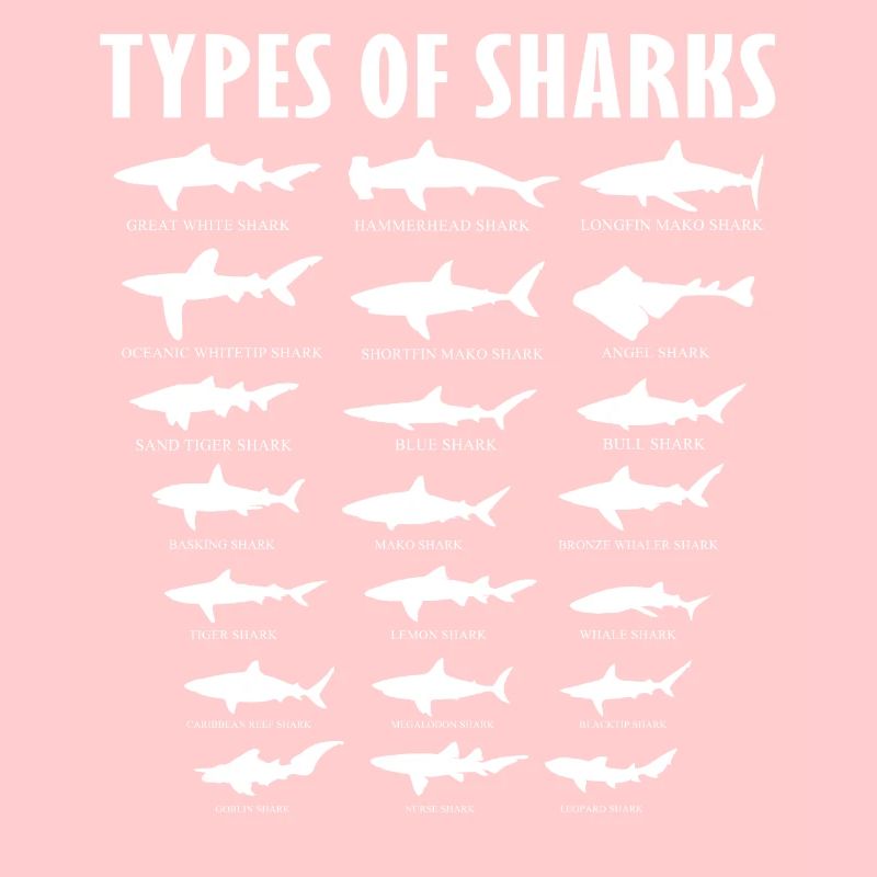 types de requins