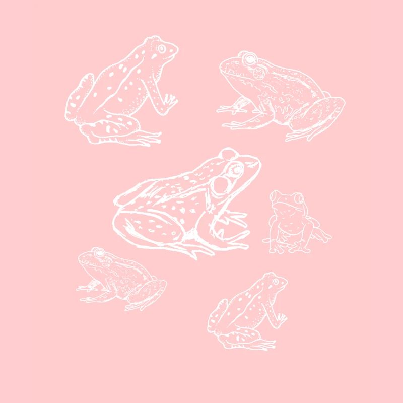 Froschkröten-Collage