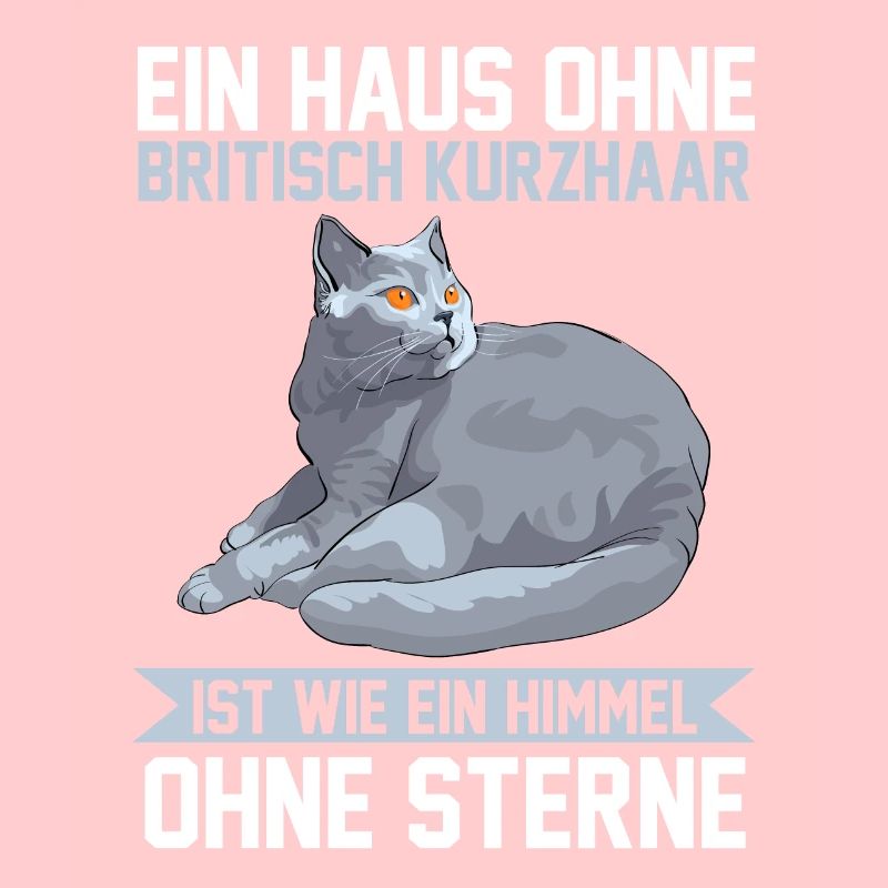 Britisch Kurzhaar Katzen