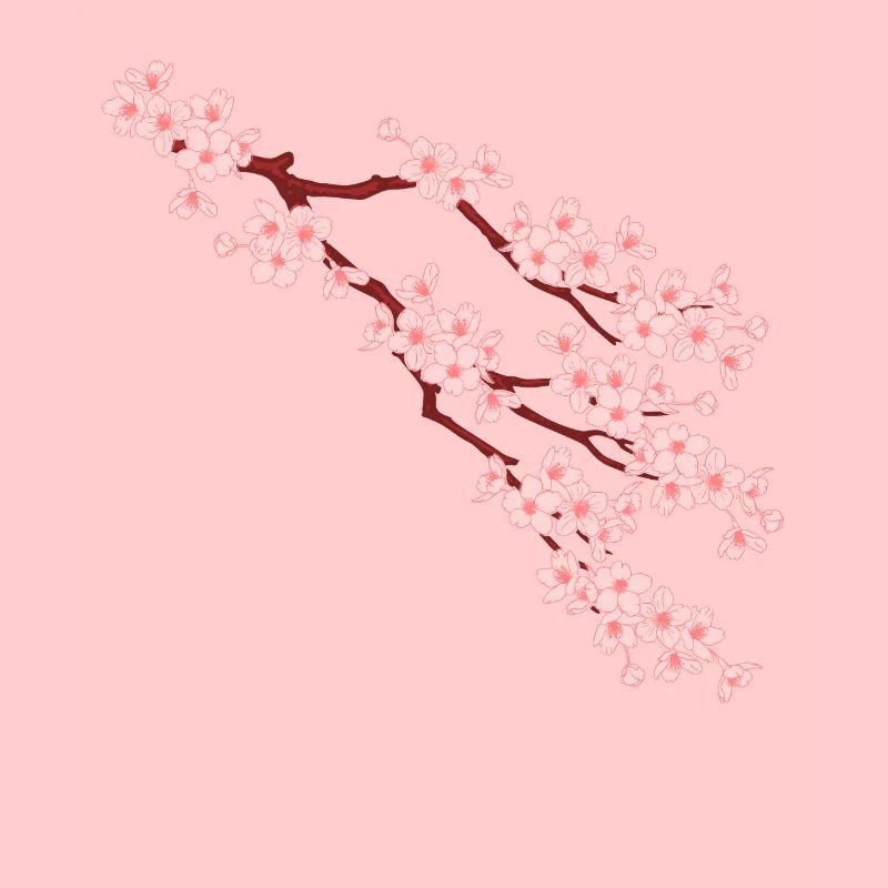 sakura