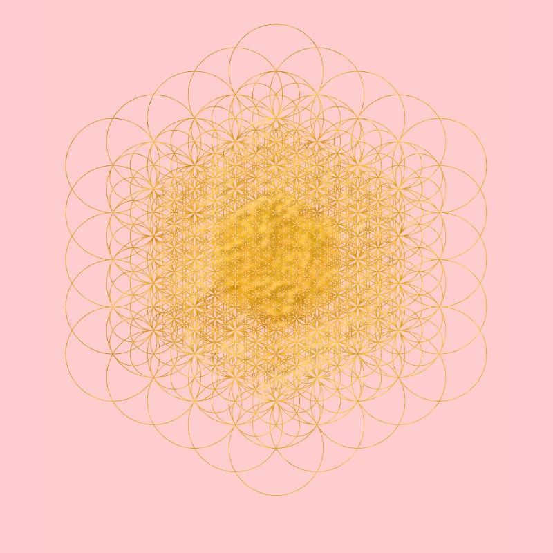 Fraktale dimensionale Blume des Lebens