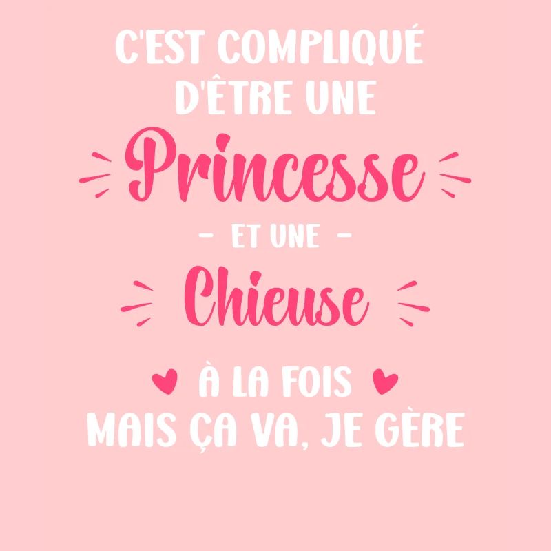 C est compliqué princesse et Chieuse