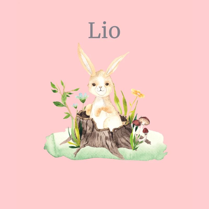Forest Animal Deer Hare Hedgehog Flowers Name Lio