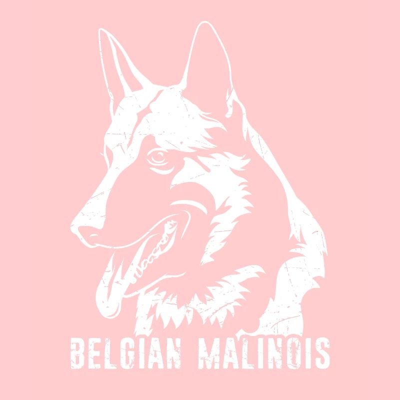 Belgian Malinois Hunde