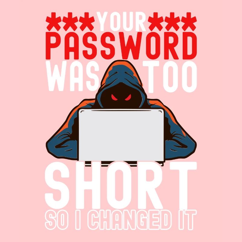 Programmeur Cybersécurité