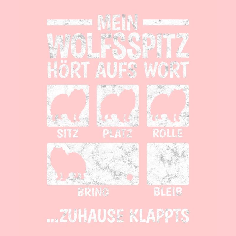 Wolfsspitz Hundetricks deutscher Spitz Keeshond