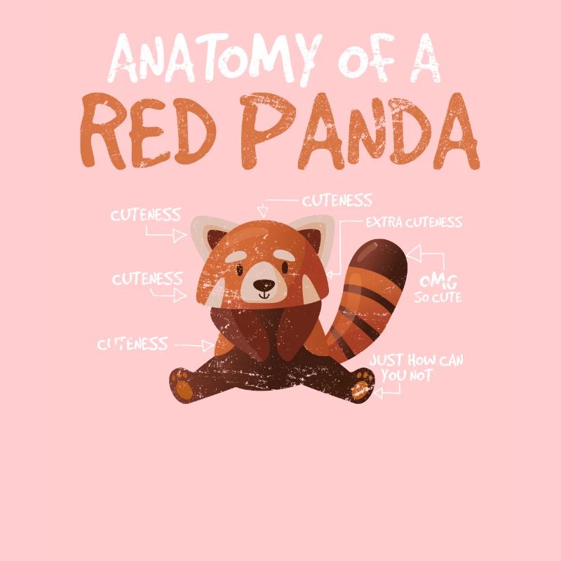 Panda roux Anatomie d’un zoologiste scientifique du panda roux