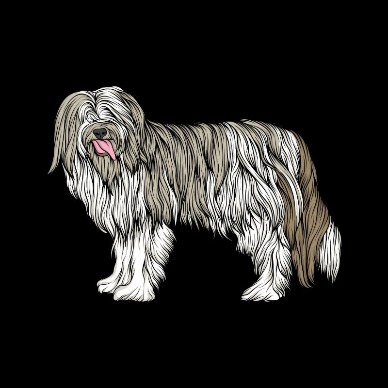 Chien