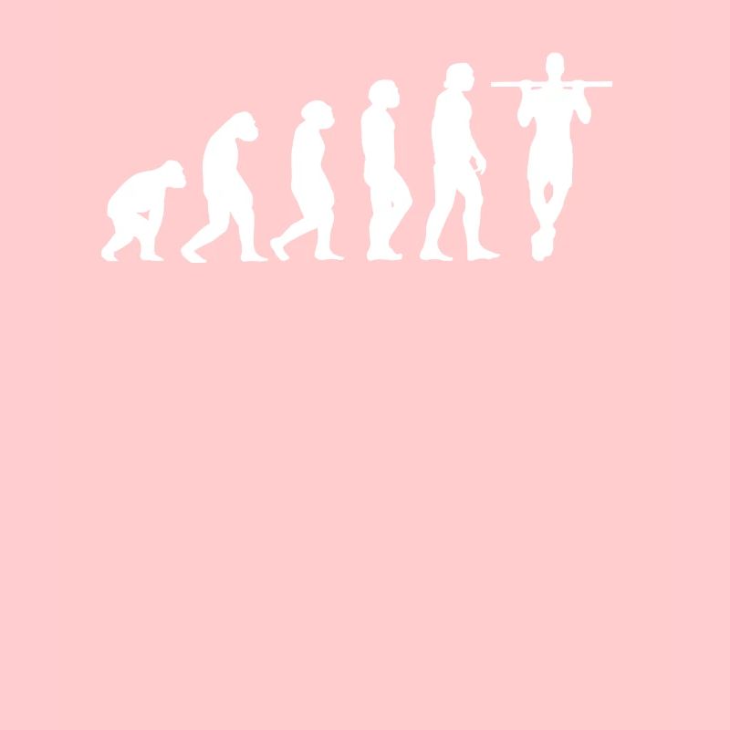 Fitness Calisthenics Evolution