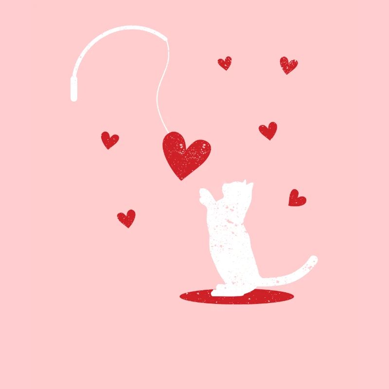Cat Toys Dear V-Day Cat Lovers