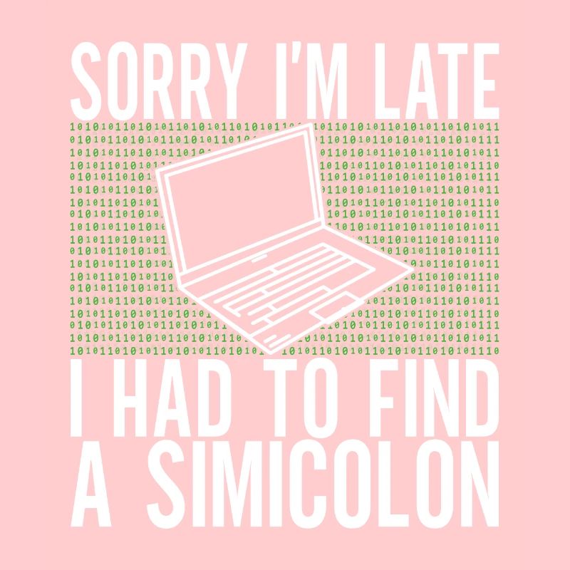 Programmer Computer Scientist