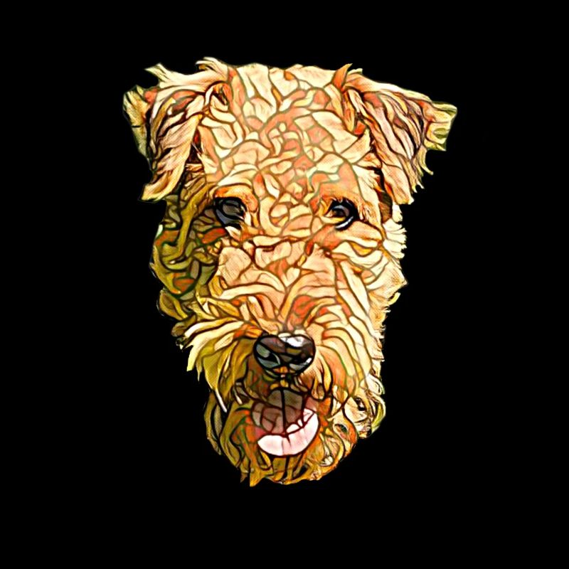 Visage d’Airedale Terrier